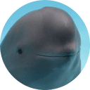 Miharu The Smiling Dolphin